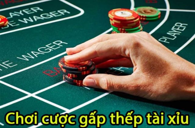 Loại cược gấp thếp tài xỉu
