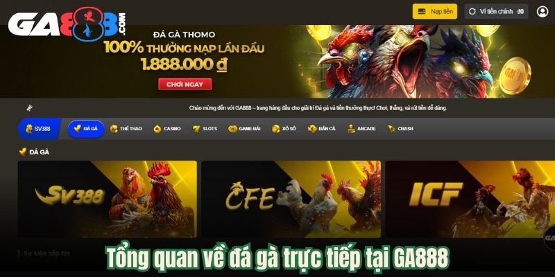 Tổng quan về đá gà trực tiếp tại GA888